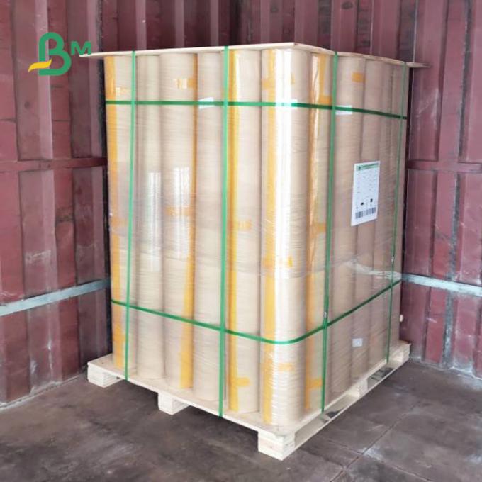 carta non rivestita del creatore del modello di Rolls della carta di tracciatore dell'indumento 60gsm 5