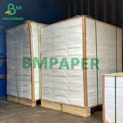 Carta sintetica di polipropilene per stampa laser a due lati 13&quot;x19&quot; Spessore 14pt 12pt 10pt 8pt
