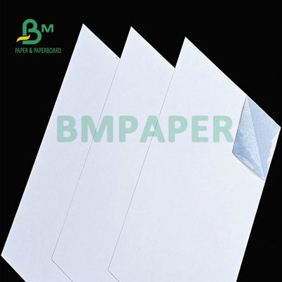 Cartone con rivestimento bianco ad alta polpa Cartone a nucleo blu 280 gm 300 gm