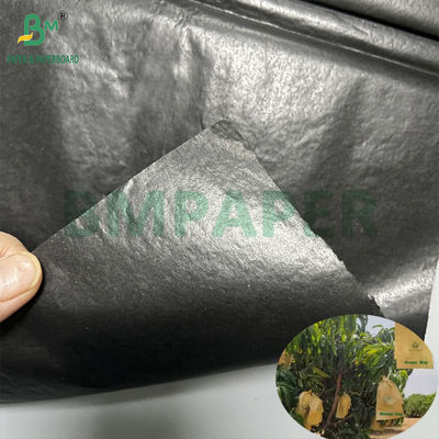 Sacchetto di protezione per la coltivazione del mango Gloss 30 gm interno Rollo di carta nera a prova di sole