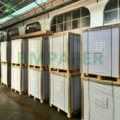 900 X 1194 mm 100% bianco puro 0,6 mm 0,7 mm Spessore carta assorbente per le sottocinture