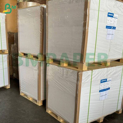 180g + 15g PE Cup Stock Paper Signle Side Coated Board Impermeabile resistente al ripiegamento