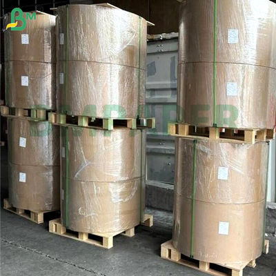 PET impermeabile al grasso impermeabile al bianco da un lato rivestito carta 200gm 300gm 400gm Per scatole alimentari a microonde confezionamento da forno
