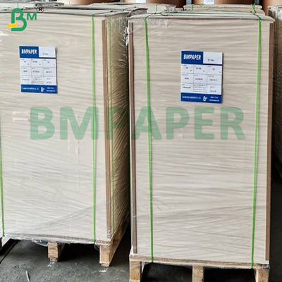 100 g 110 g cotone bianco di texture Durabilità Seccazione rapida Educazione artistica Pittura Acquerello carta