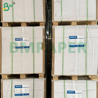 Fogli di carta base per bicchieri impermeabili con rivestimento PE su un lato da 250+15 gsm