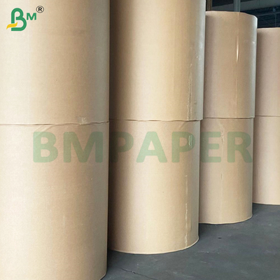 Rotoli di carta NCR CF CB CFB biodegradabile con immagine chiara da 60 g/m² e 80 g/m²
