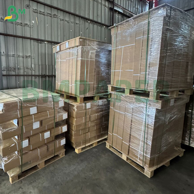 300 g di carta da divano a getto d'inchiostro per stampa grafica a grande formato 42' x 50m