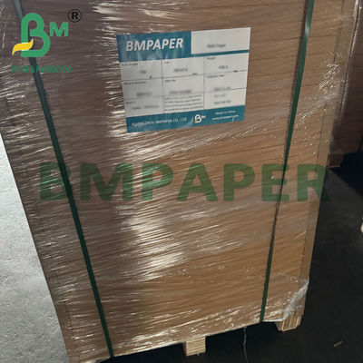 Heat Resistant Oil Proof Colored Muffin Cupcake Liner Paper for Baking Cup