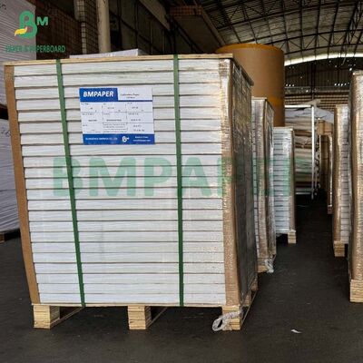 Carta Copiativa NCR CB CFB CF 55gr 60gr 65gr 70gr 75gr Senza Carbonio in Rotolo