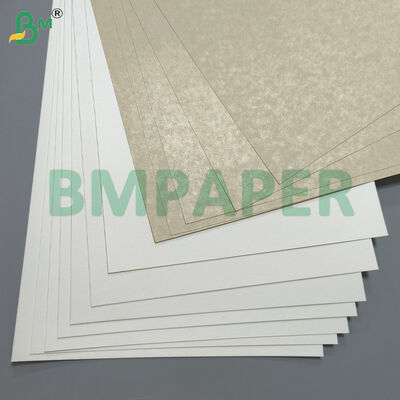 Carta speciale per ciotole e piatti per alimenti / Carta per piatti, rivestita in PET