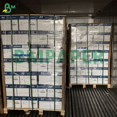 Carta autocopiante standard da 20 libbre, 8,5" x 11", carta NCR multicolore