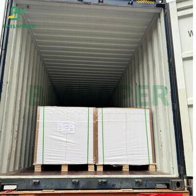 40gsm 50gsm Wax Coating 1 Side Oil Resistant Paper for Food Wrapping 20" x 20"