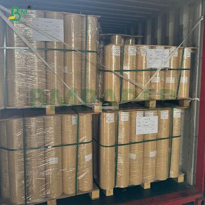 Carta kraft ad alta assorbenza da 75 g/m² per pollame in rotolo