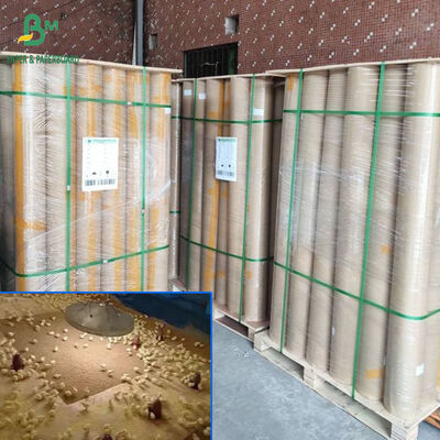 Da 40 a 110 grammi di carta di pollame borbonata assorbente in larghezza da 34 pollici a 36 pollici.