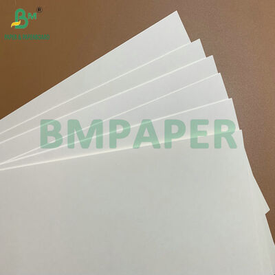 Carta da contatto alimentare in cartone bianco di 275 gm e 325 gm per piatti e vassoi usa e getta