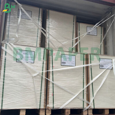 300 grammi di canna da zucchero non sbiancata, pasta di pasta di carta, foglio di carta biodegradabile, certificato 787 mm x 1092 mm