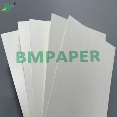 170-400 gsm di carta per bicchieri rivestita in PLA cartone compostabile per bicchieri di bevande calde e fredde