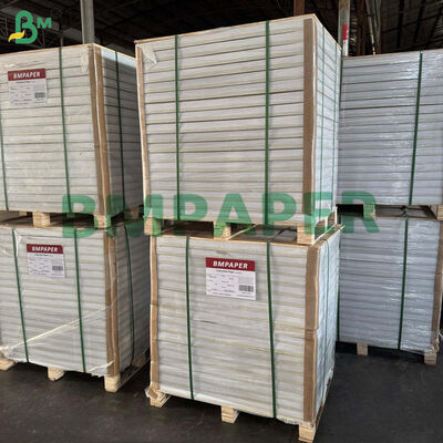 Carta patinata lucida C1S da 80 g/m² per buste esterne per bustine di tè 700 x 1000 mm alta bianchezza