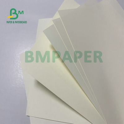 Colore di superficie regolare di carta non rivestito dell'avorio di Senza legno 50g 60g dell'alta polpa