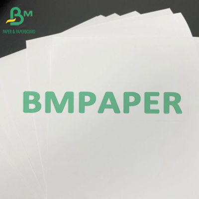Carta non rivestita assorbente di Senza legno dell'inchiostro da stampa per vari libri