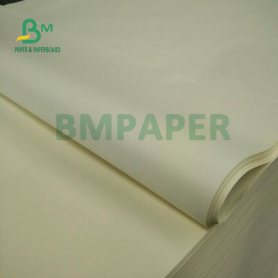 Carta offset crema di colore 80gsm per stampe offset 70 x 100cm del taccuino