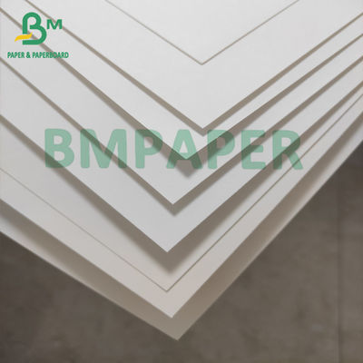 Cartone bianco della tazza del commestibile 100gsm per il materiale delle tazze del cono