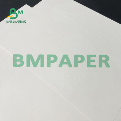 colore bianco del rotolo di carta delle azione della tazza di 100gsm 120gsm per la tazza del cono