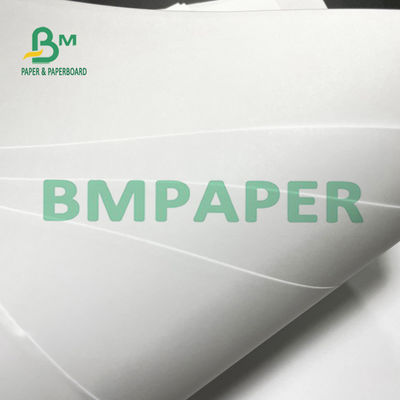 11 x 17 pollici una carta per scrivere di tela bianca da 90 GSM per l'affare LetteIrisds