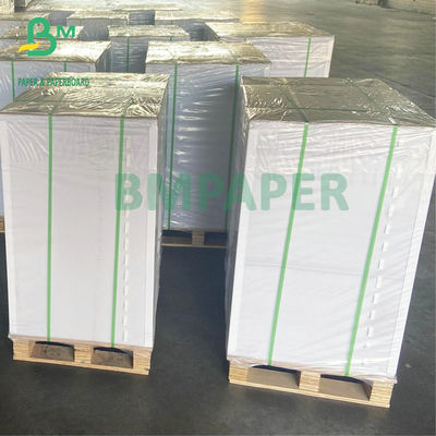 28&quot; x 40&quot; &amp; 25&quot; x 38&quot; rivestimento lucido C2S copre 80# 100# per la stampa dei buoni