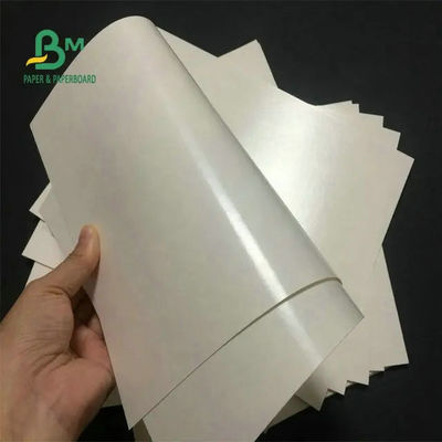 Commestibile 260 + carta rivestita delle azione della tazza del PE 15 bianca per la tazza di caffè
