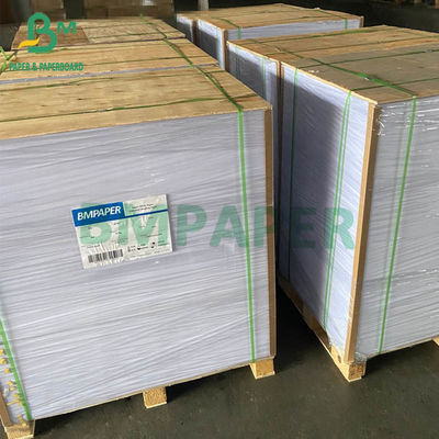 Dimensioni 635mm x 900mm della carta lucida 80G 90G 100G 115G di Matte Coated C2S
