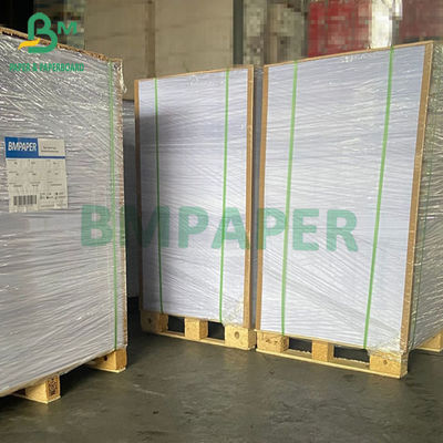 rotolo 635mm di 230gsm 250gsm 300gsm C1S Artboard 700mm 914mm 1000mm largamente