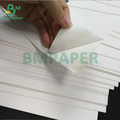 Cartone regolare di FBB SBS, bordo di avorio di C1S per l'imballaggio del 295gsm