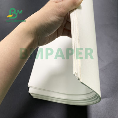 Cartone delle azione della tazza del commestibile per le ciotole 700mm x 1000mm della tagliatella