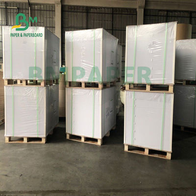 Cartone delle azione della tazza del commestibile per le ciotole 700mm x 1000mm della tagliatella