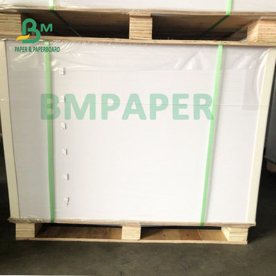 Cartone delle azione della tazza del commestibile per le ciotole 700mm x 1000mm della tagliatella