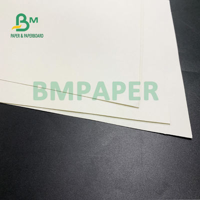 Il singolo PE laterale ha ricoperto la carta della tazza 180gsm + 15gsm di buona malleabilità