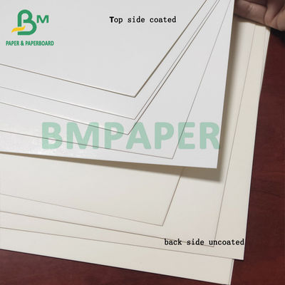 Rotolo della carta del congelatore del commestibile, rivestimento bianco del cartone 350gsm di C1S