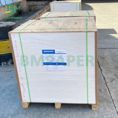 Rotolo della carta del congelatore del commestibile, rivestimento bianco del cartone 350gsm di C1S