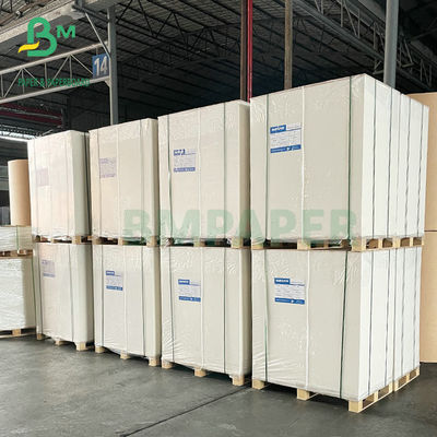 Forte carta 72x102cm del bordo di avorio di rigidezza 300GSM 350GSM FBB