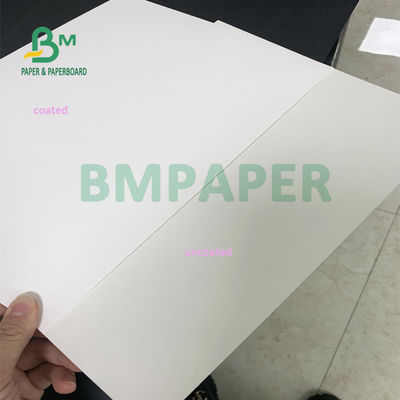 carta da imballaggio dell'alimento di 914mm x di 635mm, C1S impermeabile Art Paper For Takeway Box