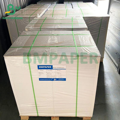cartone di riserva della tazza del commestibile di 200g 210g, carta bassa non rivestita impermeabile