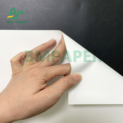 Carta sintetica impermeabile stampabile del solvente di Eco per la carta per manifesti