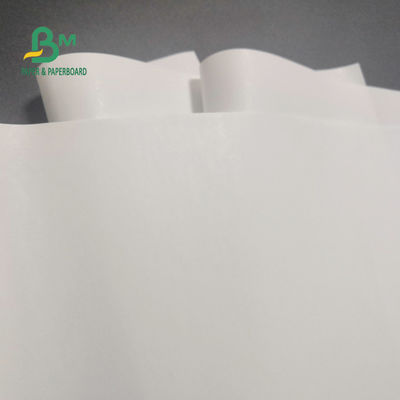 rotolo di carta termico libero di 65gsm BPA per immagini 600mm x 9000m del registratore di cassa le chiara