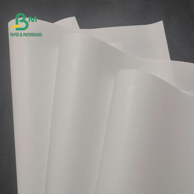 rotolo di carta termico libero di 65gsm BPA per immagini 600mm x 9000m del registratore di cassa le chiara