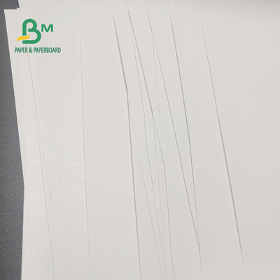 rotolo di carta termico libero di 65gsm BPA per immagini 600mm x 9000m del registratore di cassa le chiara