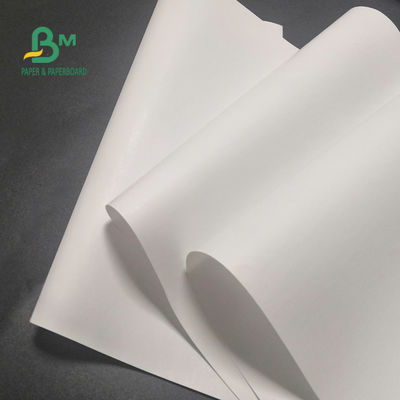 rotolo di carta termico libero di 65gsm BPA per immagini 600mm x 9000m del registratore di cassa le chiara