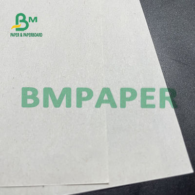 Rotolo bianco grigiastro della carta della carta da giornale per il giornale che stampa OEM