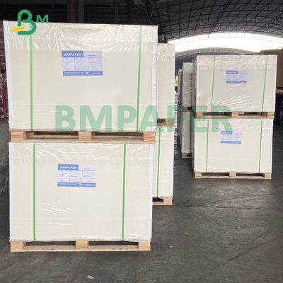 420 micron 250gsm rotolano lato di carta del congelatore il singolo ricoperto per l'imballaggio per alimenti
