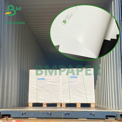 Doppi parteggiati mandano un sms al risguardo 12" di C2S X 18" alto bianco di 80# 100#